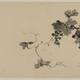 Illustration for article titled Grapes